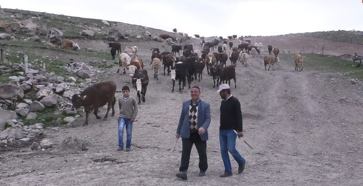 60 bin lira maaşla eleman bulamıyorlar! - Resim: 3