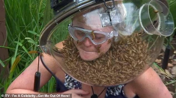 Kafasını böceklerle dolu bir fanusa soktu!  - Resim: 1