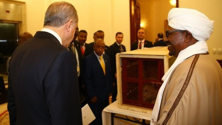 Cumhurbaşkanı Erdoğan'a ilginç hediye! - Resim: 3