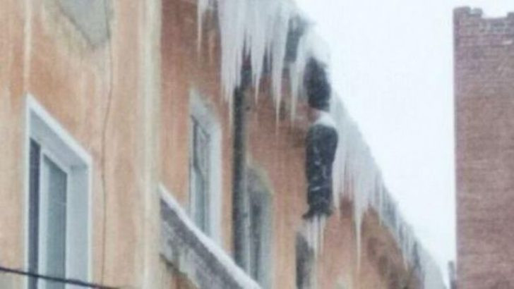 Böylesine şahit olmadınız görenler de dondu kaldı - Resim: 2