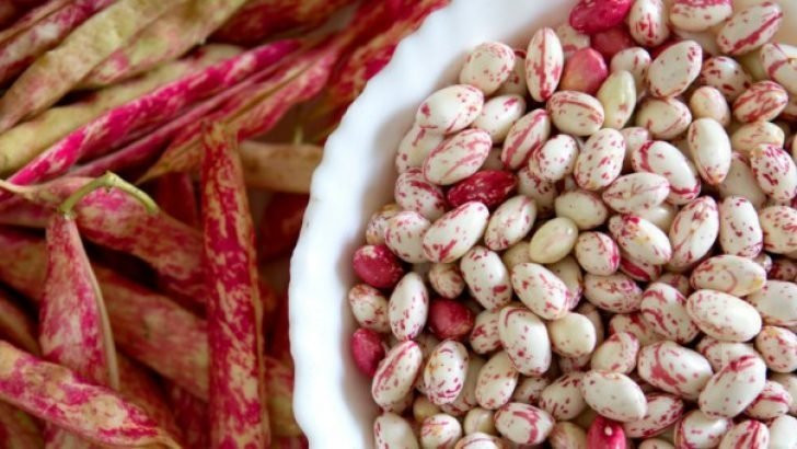 Folik asit nedir? Hangi yiyeceklerde bulunur? - Resim: 4