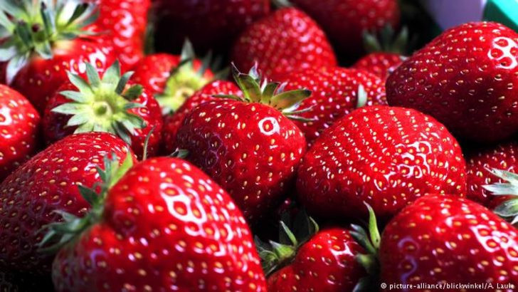 Dünyanın en büyük  gıda skandalları - Resim: 3