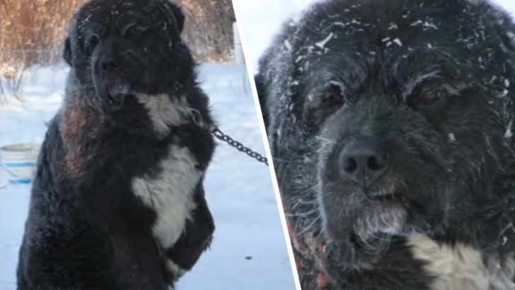 -40 derece soğukta 4 yıl boyunca akılalmaz işkence! - Resim: 1