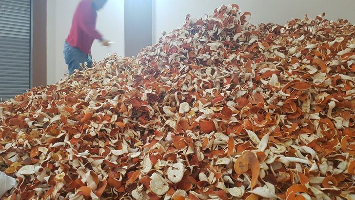 Yurt dışından talep yağıyor! Kendisinin kilosu 1 tl kabuğu 6 tl - Resim: 1