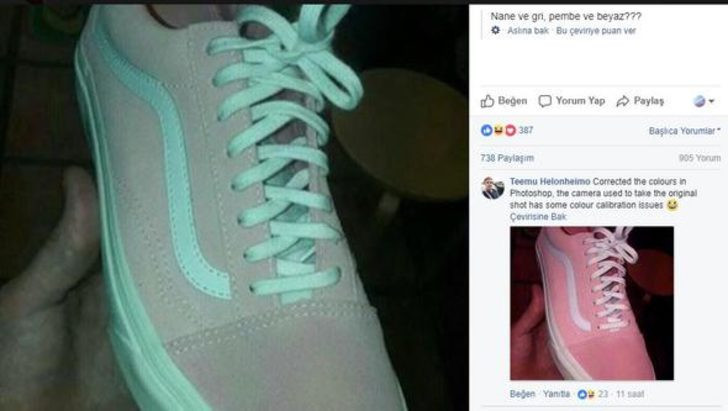 Her şey bu elbise ile başladı şimdi de ayakkabı çıktı - Resim: 3