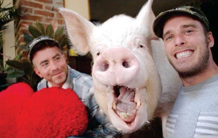 Evlerinde öyle bir hayvan besliyorlar ki... Binlerce hayranı var - Resim: 3