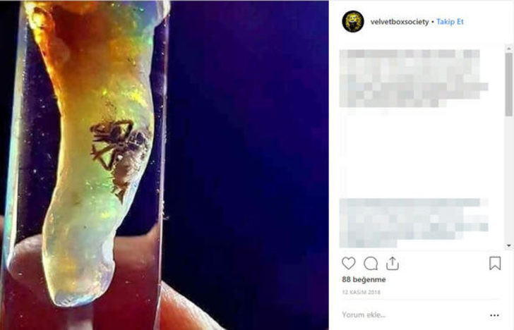 Bulunan bir madde yankı yarattı dünyayı şoke eden keşif  - Resim: 4