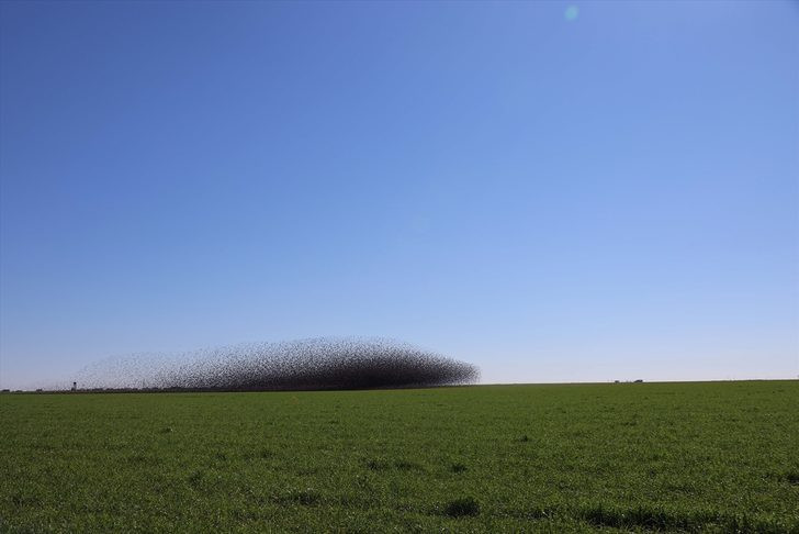 Mardin'de gökyüzünü bir anda istila ettiler Görenler cep telefonuna sarıldı - Resim: 3