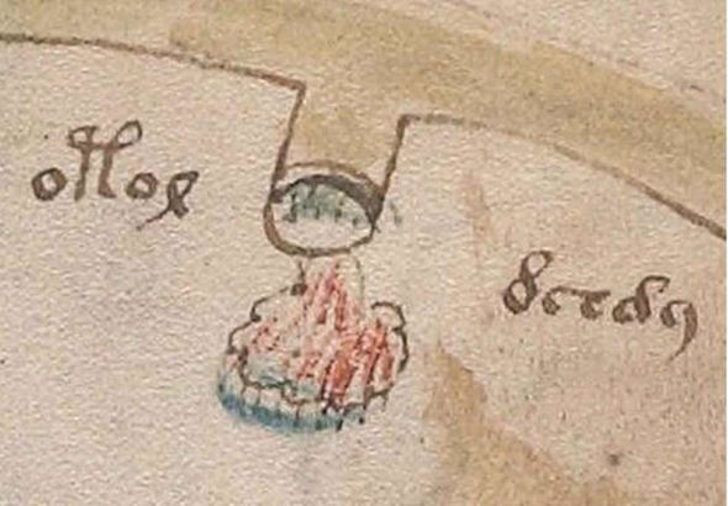 Dünyanın en gizemli kitabı Voynich El Yazması deşifre oldu seks tavsiyesi olay oldu - Resim: 3