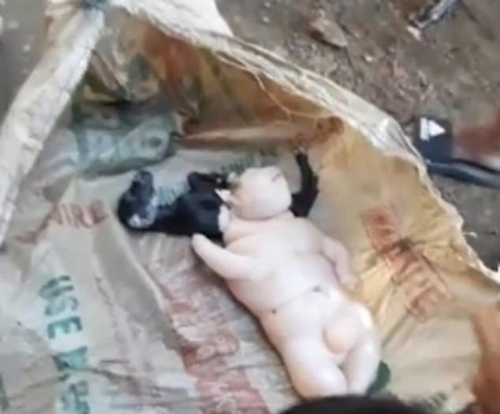 Yarı insan yarı domuz doğurdu! Görenler çığlık çığlığa kaçtı - Resim: 3