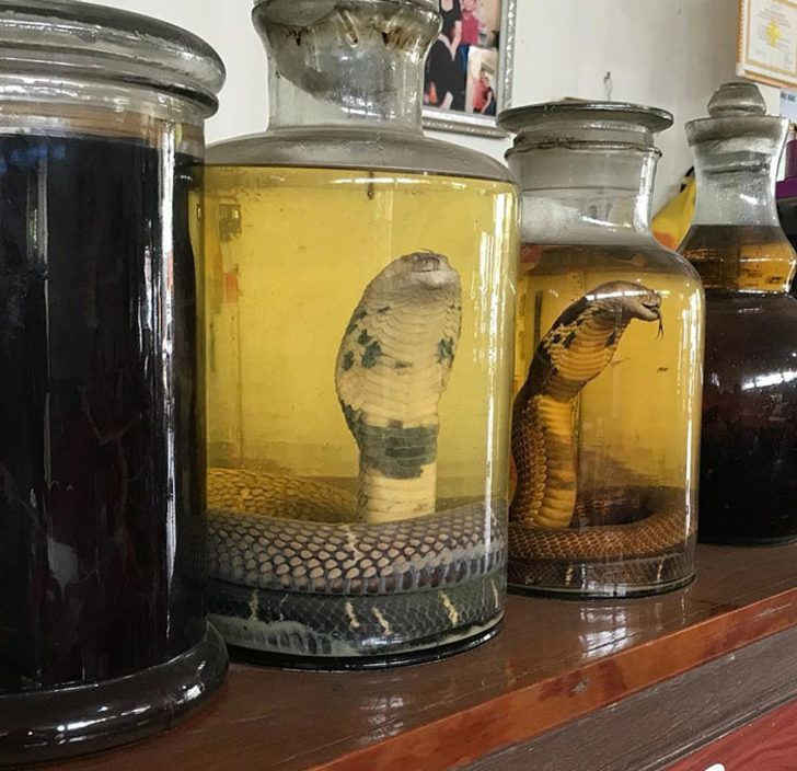 Cinsel gücü arttırmak için bakın ne içiyorlar - Resim: 2