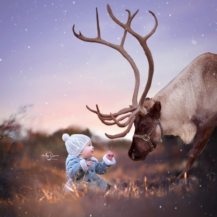 Jürinin en zorlandığı fotoğraf yarışması - Resim: 2