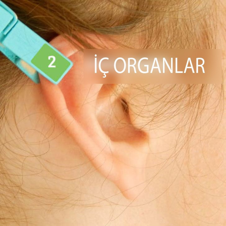 Mandalla ağrılarınızdan kurtulun - Resim: 3