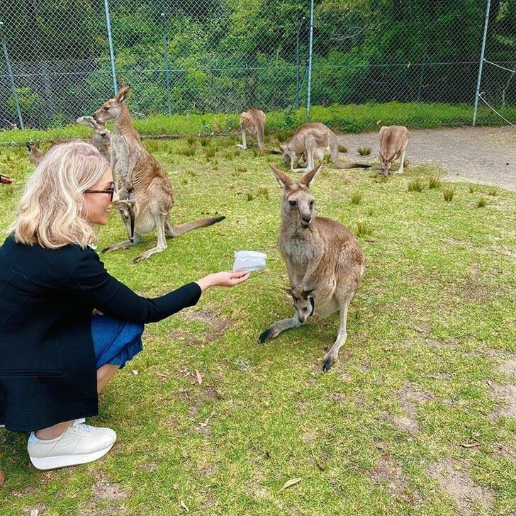 Zerrin Tekindor Avustralya'dan paylaştı kanguru beslediği anlara beğeni yağdı - Resim: 1