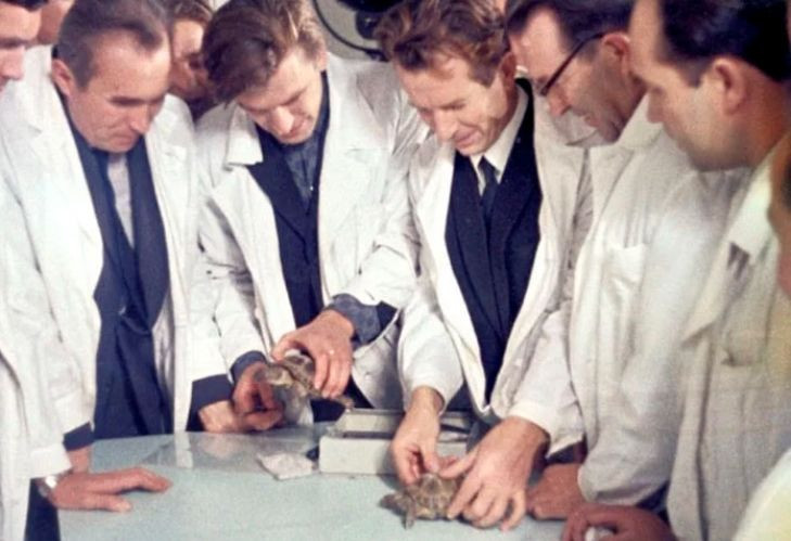 Hepsi bilime ışık tuttu! İşte insanlardan önce uzaya giden hayvanlar - Resim: 4