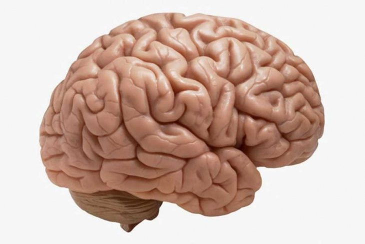 Baş ağrısı diye hasteneye gitti beyinsiz çıktı! - Resim: 4