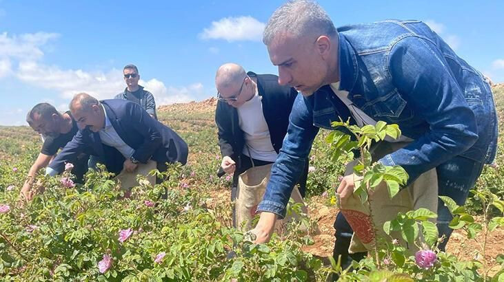 Ticarete atıldı! Çin ve İngiltere'den teklif aldı: Berdan Mardini tek gayesini açıkladı - Resim: 2