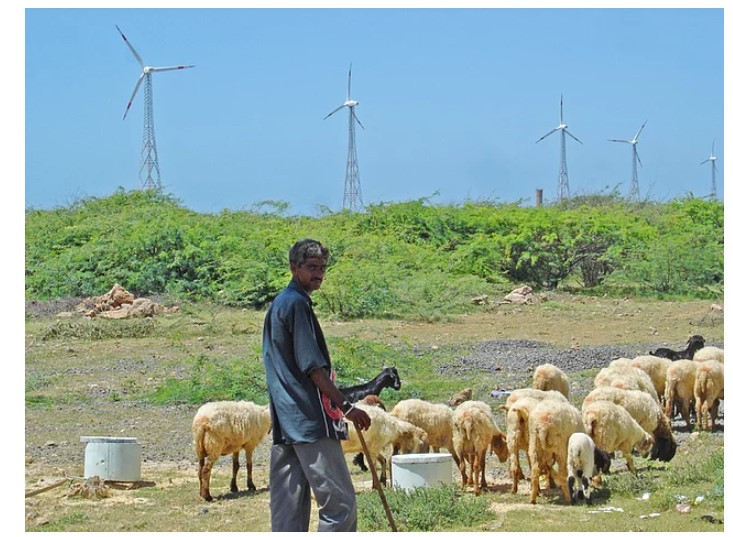 Öğrendiğinize ufkunuzu açacak 15 muhteşem bilgi - Resim: 3