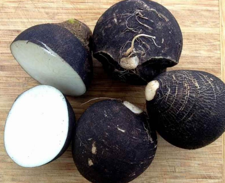 İçine bal koyup bekleyin! Siyah turp kanıtlanmış mucize - Resim: 2