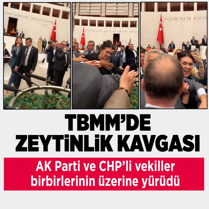 TBMM'de zeytinlik kavgası çıktı vekiller birbirlerinin üzerine yürüdü
