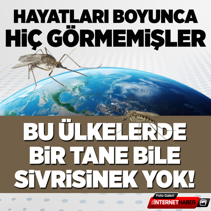 Bu ülkelerde bir tane bile sivrisinek yok! Şaka gibi 'hiç görmemişler'
