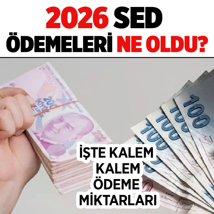 2026 SED yardımları ne kadar oldu? İşte güncel SED yardımı, evde bakım aylığı, engelli maaşı