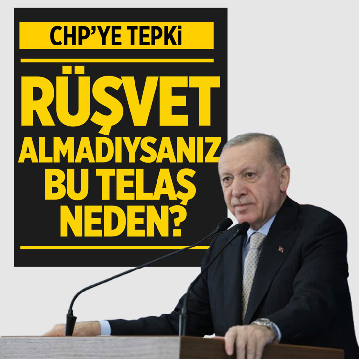 Cumhurbaşkanı Erdoğan: Rüşvet almadıysanız bu telaş hali niye?