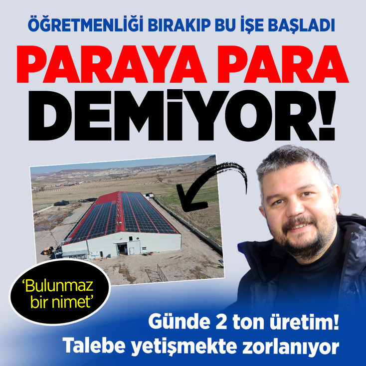 Öğretmenliği bırakıp bu işe başladı paraya para demiyor! Günde 2 ton üretim...