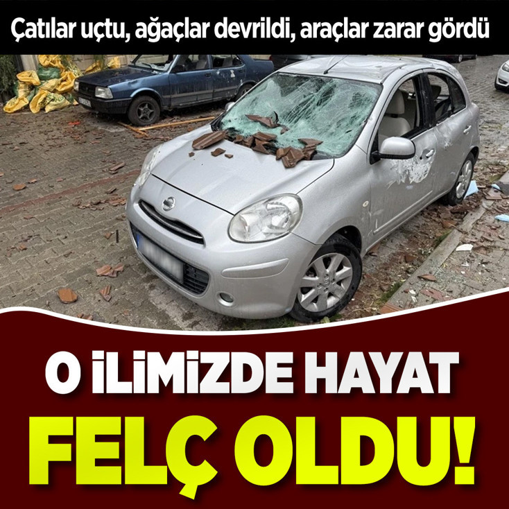 Denizli'de hayat felç! Fırtına yüzünden çatılar uçtu, ağaçlar devrildi, otomobiller zarar gördü