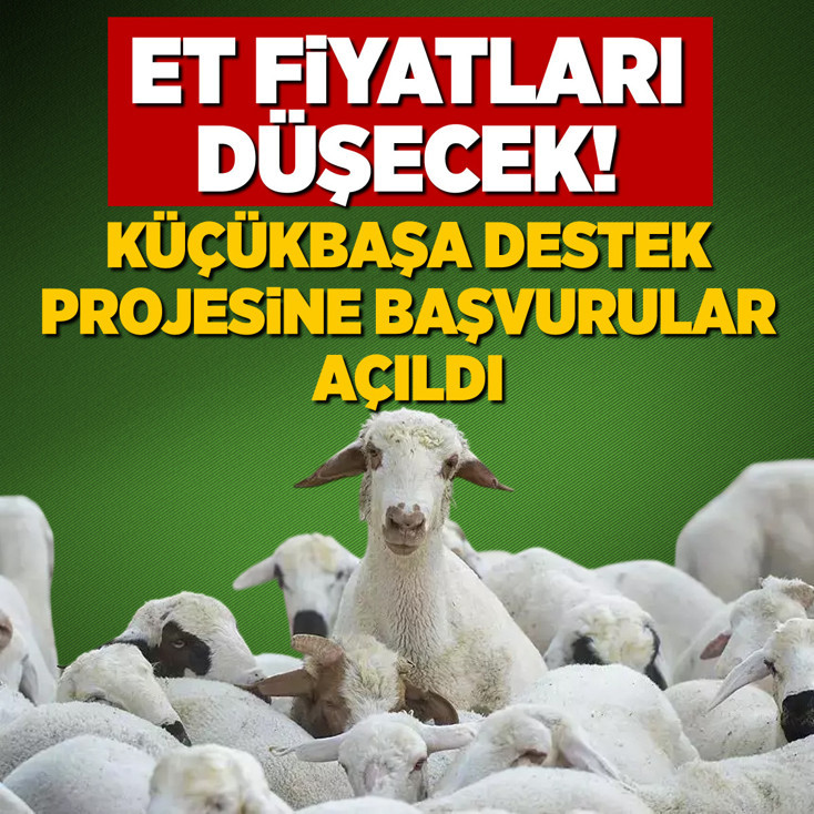 Et fiyatları düşecek! Küçükbaşa Destek projesine başvurular açıldı