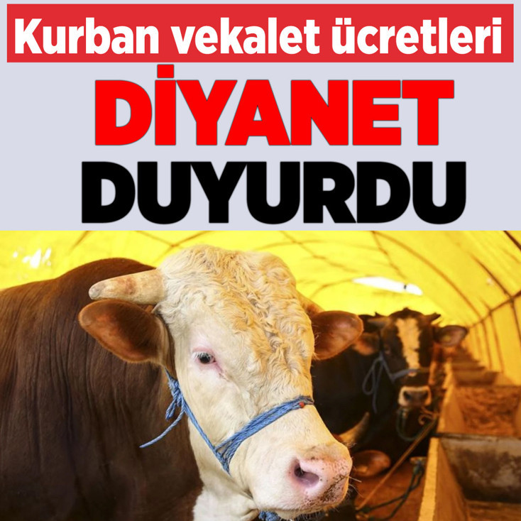 Diyanet açıkladı! 2026 vekaletle kurban kesim bedeli belli oldu