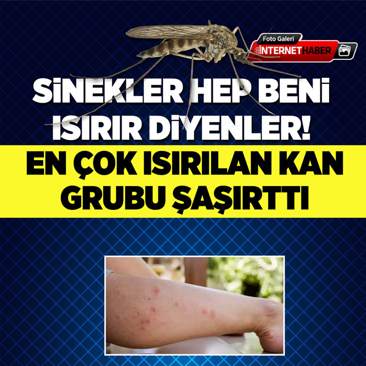 Sinekler hep beni ısırır diyenler! En çok ısırılan kan grubu şaşırttı