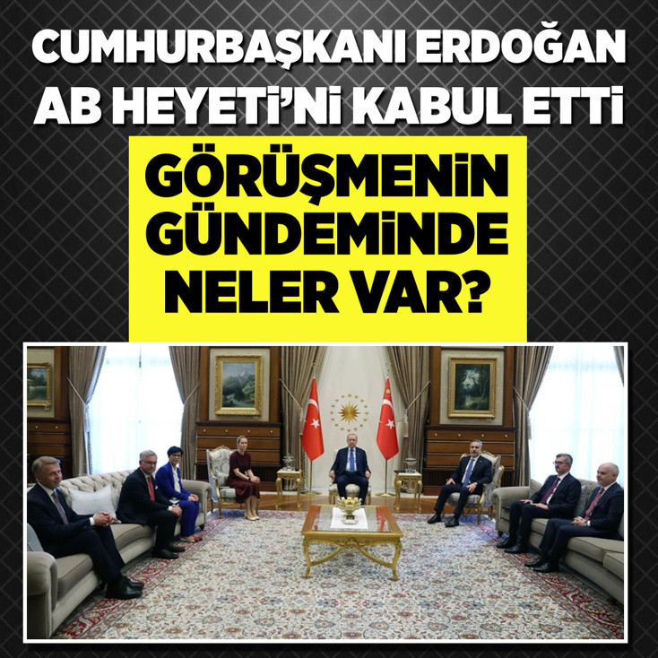NATO zirvesi öncesi Cumhurbaşkanı Erdoğan AB Heyeti ile bir araya geldi