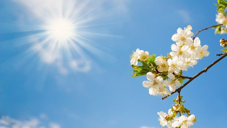 Meteoroloji uyardı! Yağmur geri geliyor! - Resim: 1