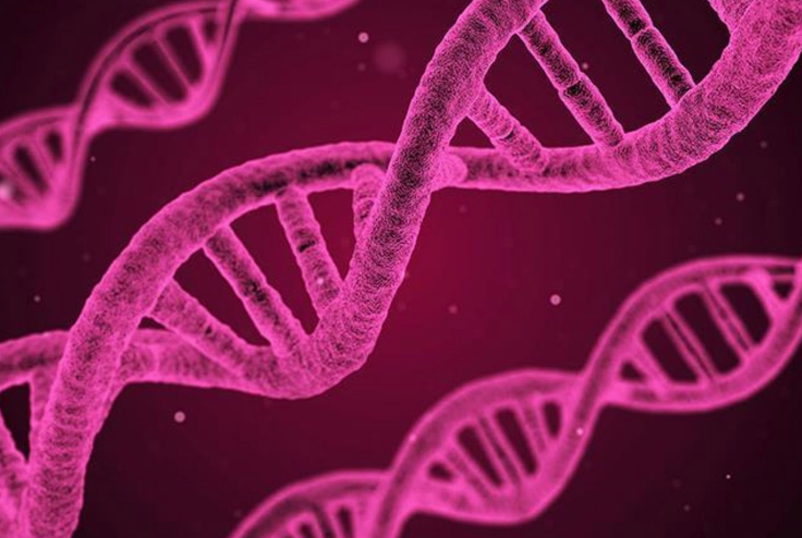 Kanser oluşumuna neden olan bu önemli faktörlerden uzak durun! - Resim: 2