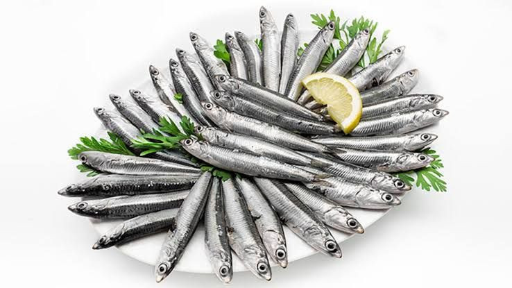 Ekim - Kasım ayında hangi balık yenilir? Aralık'ta hamsi Ocak'ta çinekop - Resim: 3