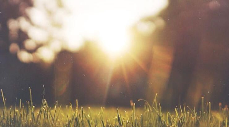 20 santime varan kar uyarısı! Haftaya pastırma sıcakları geliyor - Resim: 4