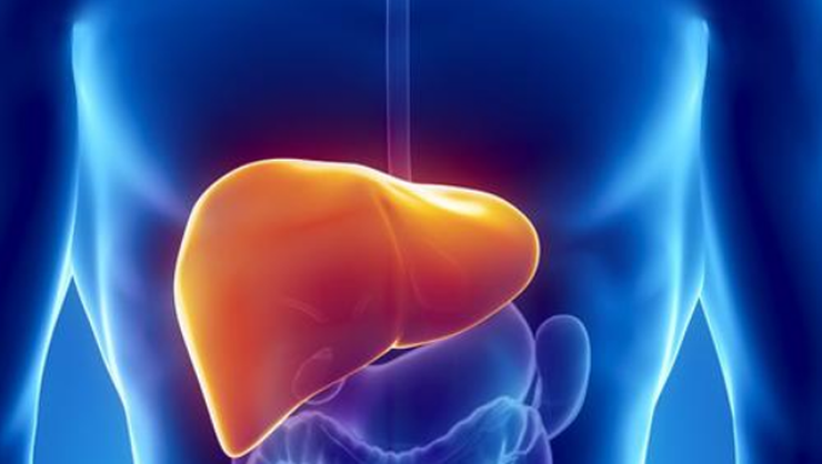 Karaciğer yağlanması çağın hastalığı olabilir - Resim: 1