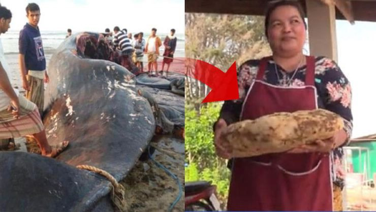 Balinanın karnından hazine çıktı! Yemen'de 'kötü koku' 35 balıkçıyı milyoner etti - Resim: 4