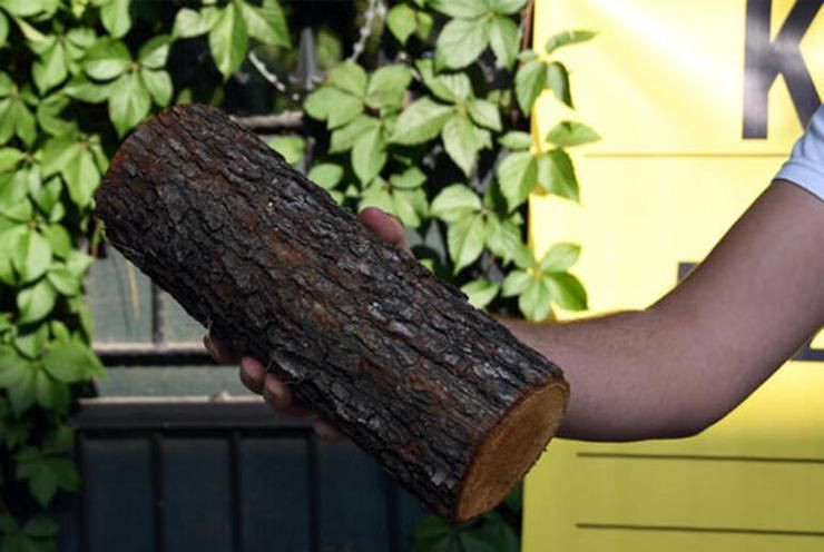 Halil Sezai'nin kardeşi Duygu Paracıkoğlu bile abisine tepki gösterdi yaşlı adamı dövmüş tutuklanmıştı - Resim: 3