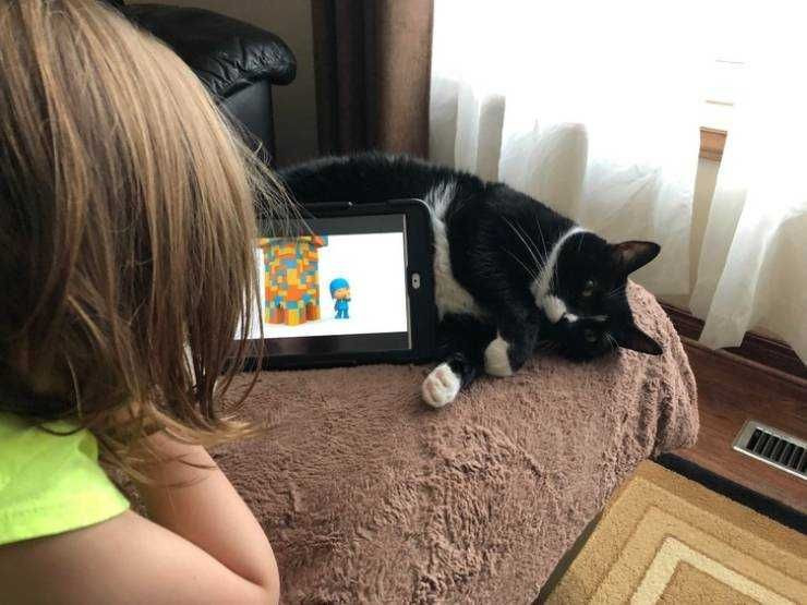 Teknolojinin pratik zekalı insanlarla imtihanı kahkahaya boğdu - Resim: 4