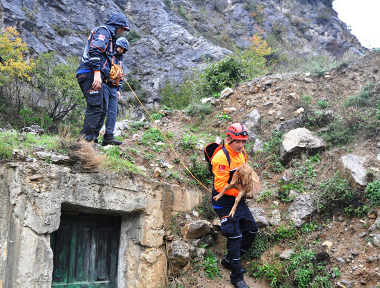 Bartın'da kayalıklarda mahsur kalan Bediş kurtarıldı - Resim: 3