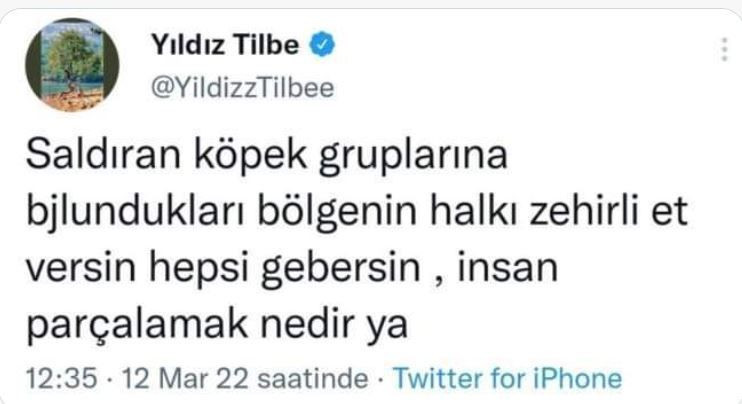 Yıldız Tilbe 'zehirli et verin, hepsi gebersin' diye yazdı kafası iyi iddiası geldi - Resim: 2