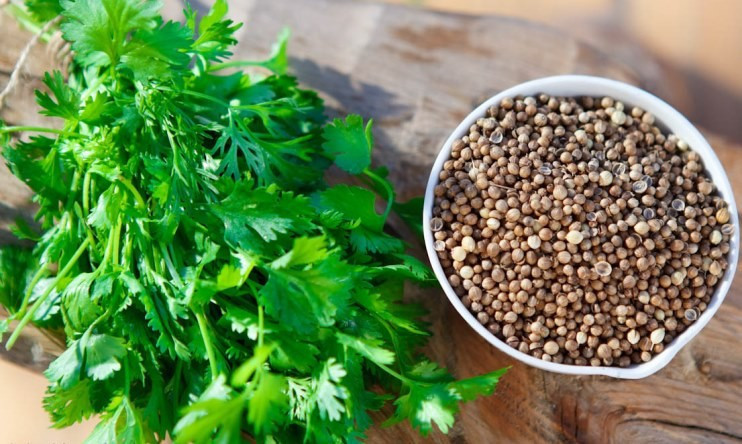 Cinsel gücü tetikliyor! Maydanoza benziyor ama değil... - Resim: 4