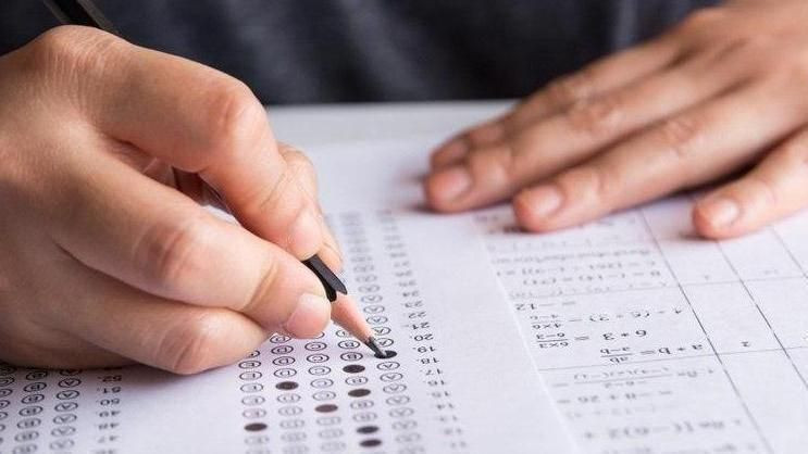 AÖL sınav giriş yerleri 2020 MEB AÖL sınav giriş belgesi çıkarma ekranı - Resim: 1