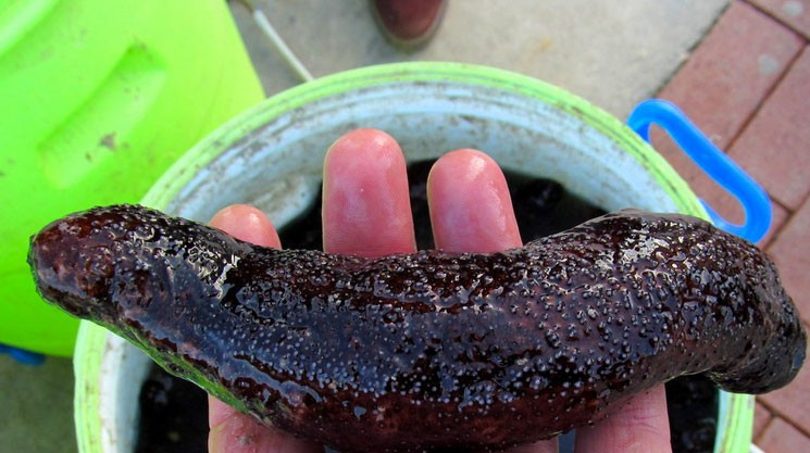 İhbar ortaya çıkardı hepsi şüpheli minibüsten çıktı! - Resim: 3