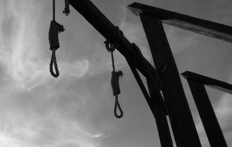 Bu hayvanlar işlediği suçlar sebebiyle idam edildi! - Resim: 1