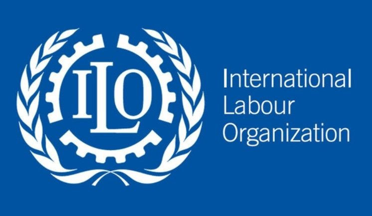 Tarlayı bırakıp okula başladılar! Bir yılda 8 bin çocuk tarla yerine okula gitti - Resim: 1