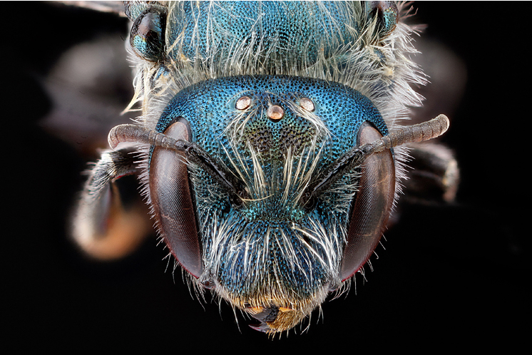 Bunların ne olduğuna inanamayacaksınız - Resim: 2