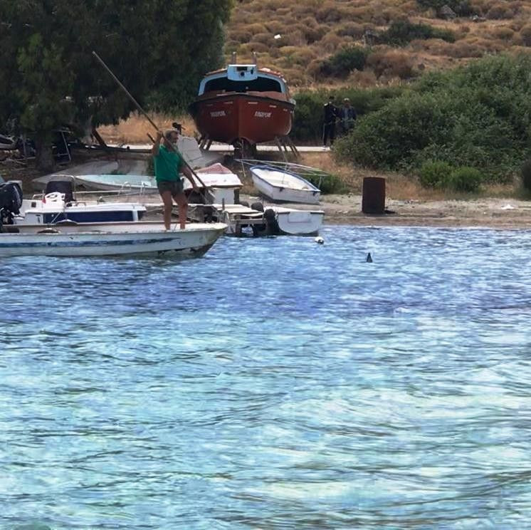 Muğla'da köpek balığını işkence ederek vahşice öldürdüler - Resim: 2